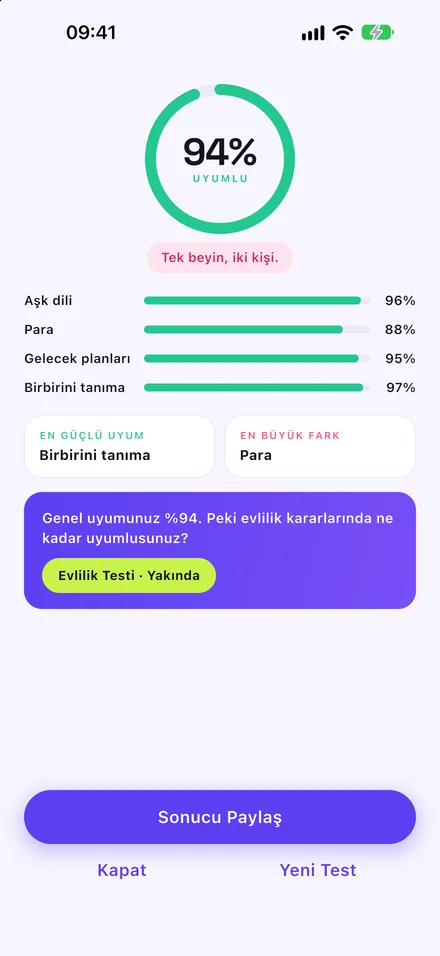 Sonuç ekranı: %94 uyum ve dört kategoride döküm